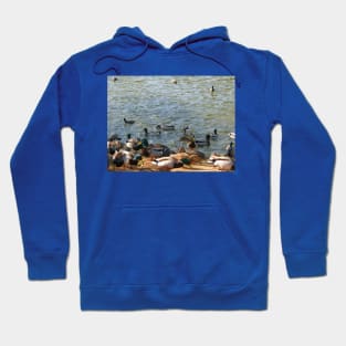 Fowl play Hoodie